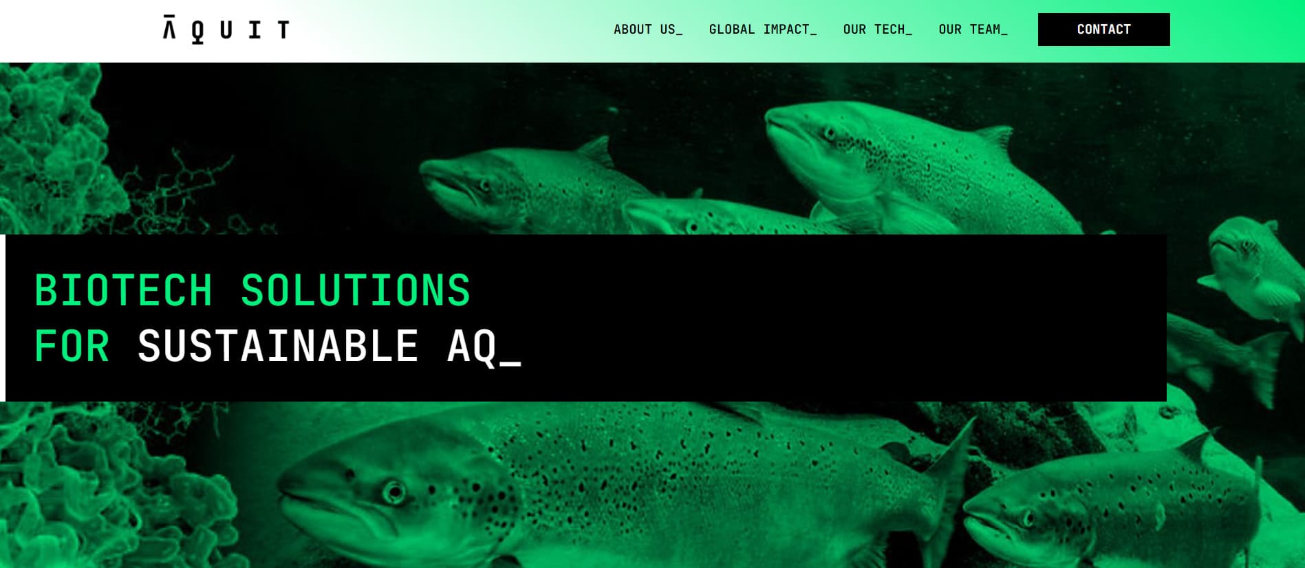 Aquit startup chilena a seguir