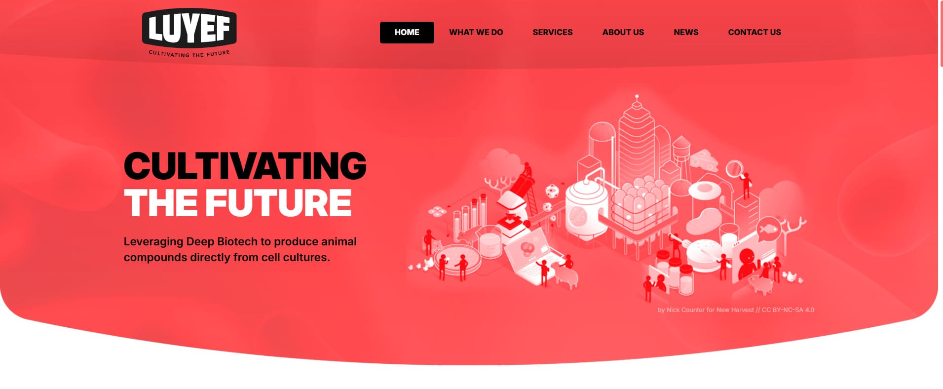 Luyef startup chilena a seguir