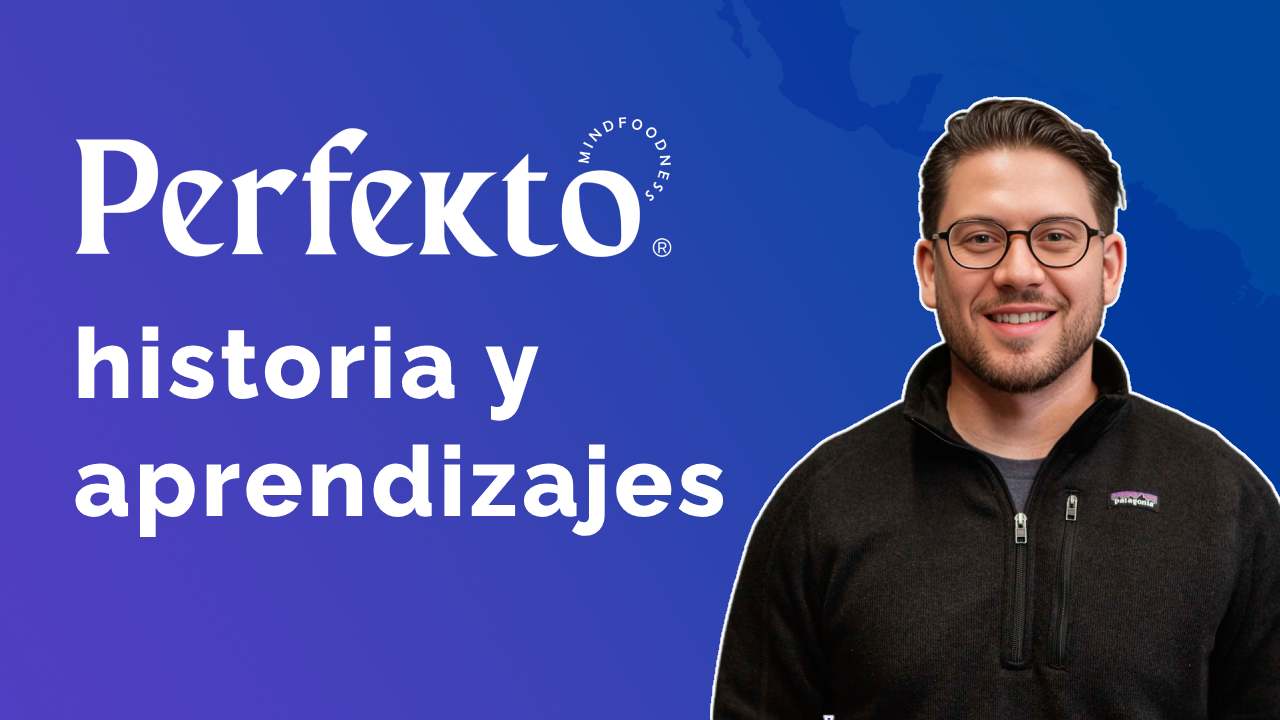 #48 Growth, fundraising, shutting down, and lessons learned: Perfekto's story with Jan
