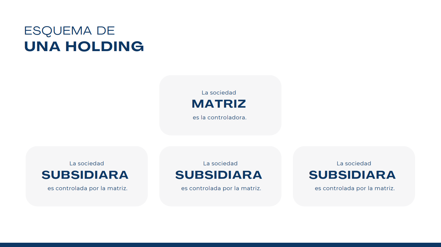  Graphic representation of a holding company